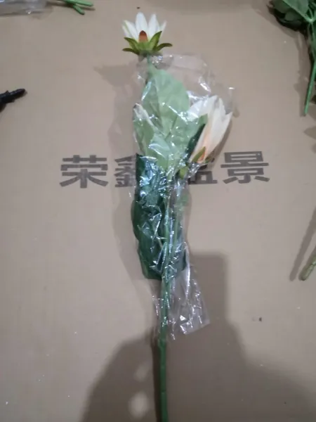 Bonsai Bonsai